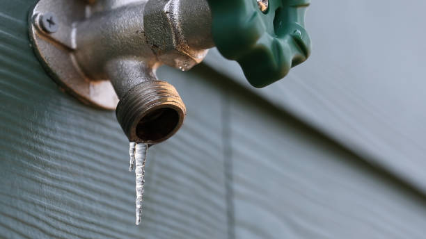 Best Leak Detection Services  in Doolittle, TX