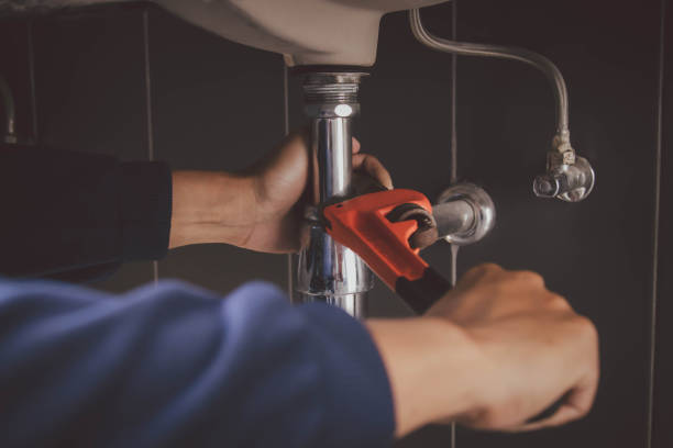 Best Clogged Drain Plumber  in Doolittle, TX